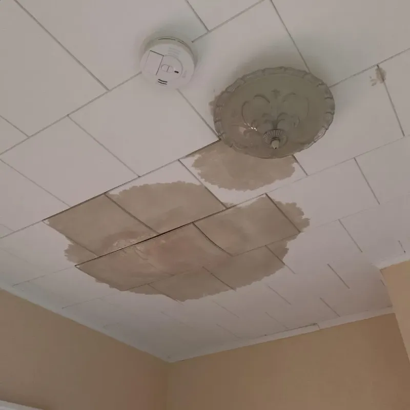 Ceiling Water Damage Repair in Minerva Park, OH