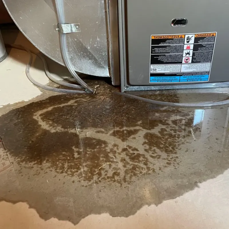 Pipe Burst and Leak Restoration in Minerva Park, OH